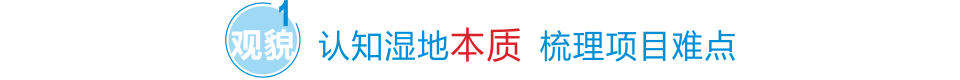 認知濕地本質 梳理項目難點